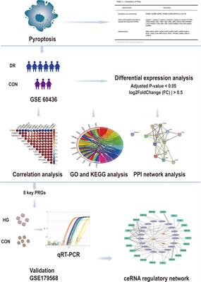 Molecular investigation of candidate genes for pyroptosis-induced inflammation in diabetic retinopathy